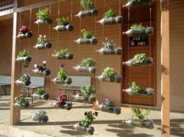 10 Plastic Bottle Vertical Garden Ideas