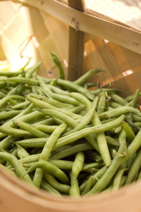 How to Grow Green Beans